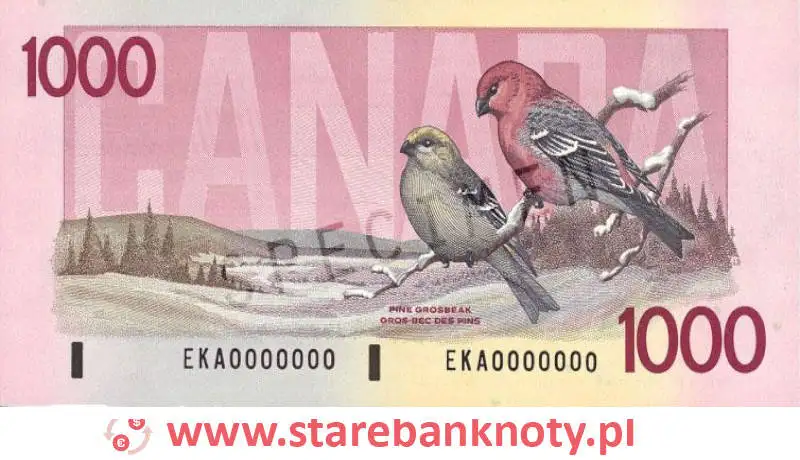 widok banknotu 